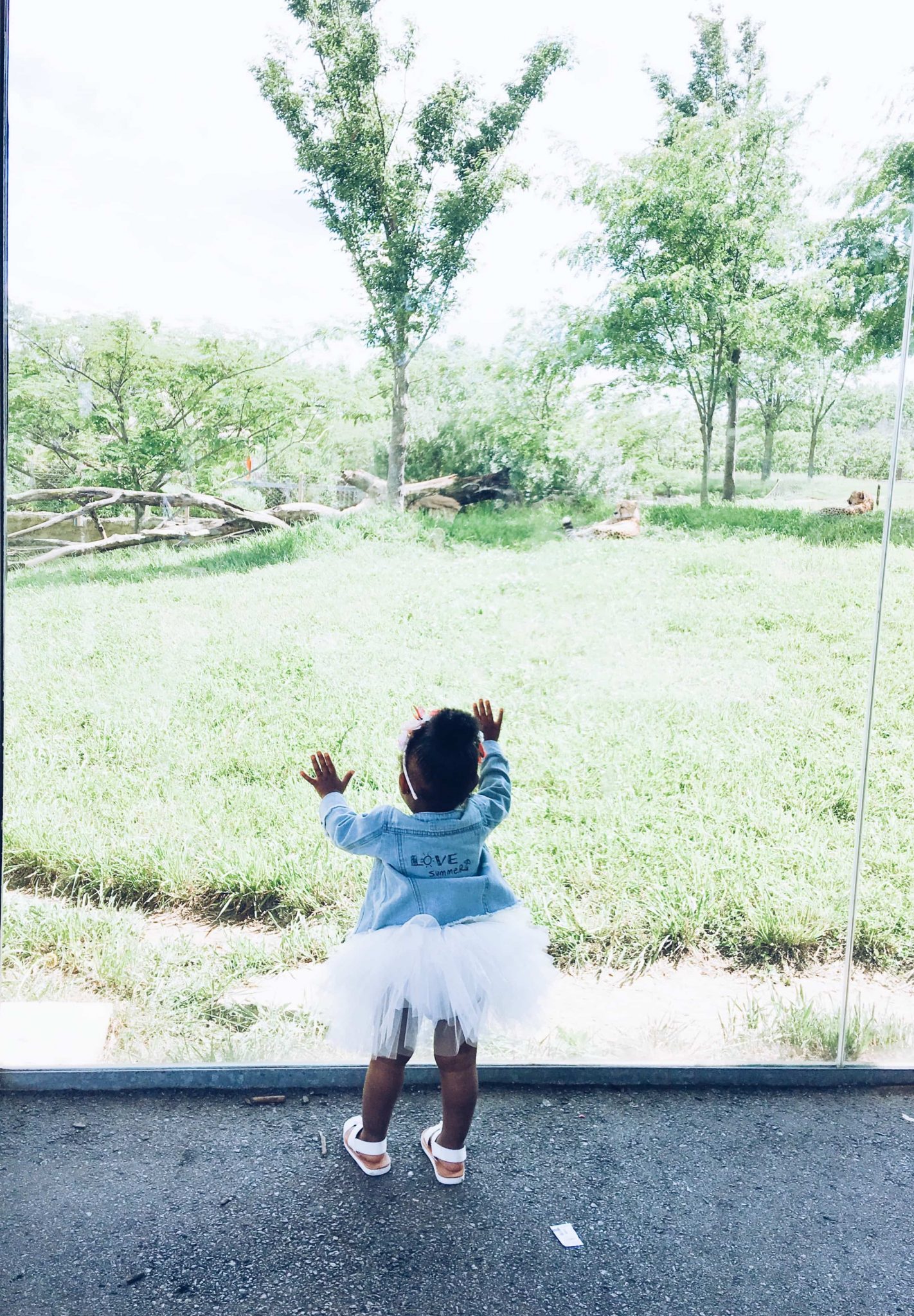 Processed with VSCO with a5 preset Processed with VSCO with a5 preset